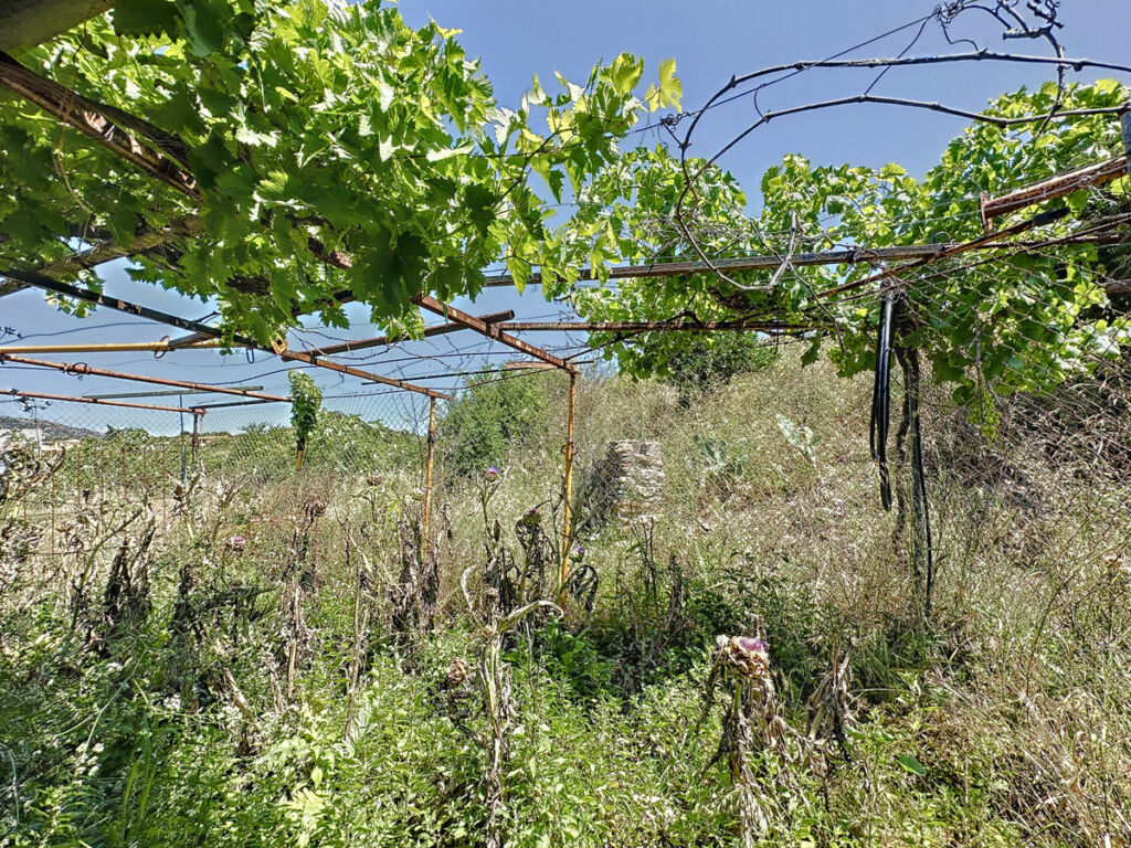 Farm Doña Julia Málaga - image 13