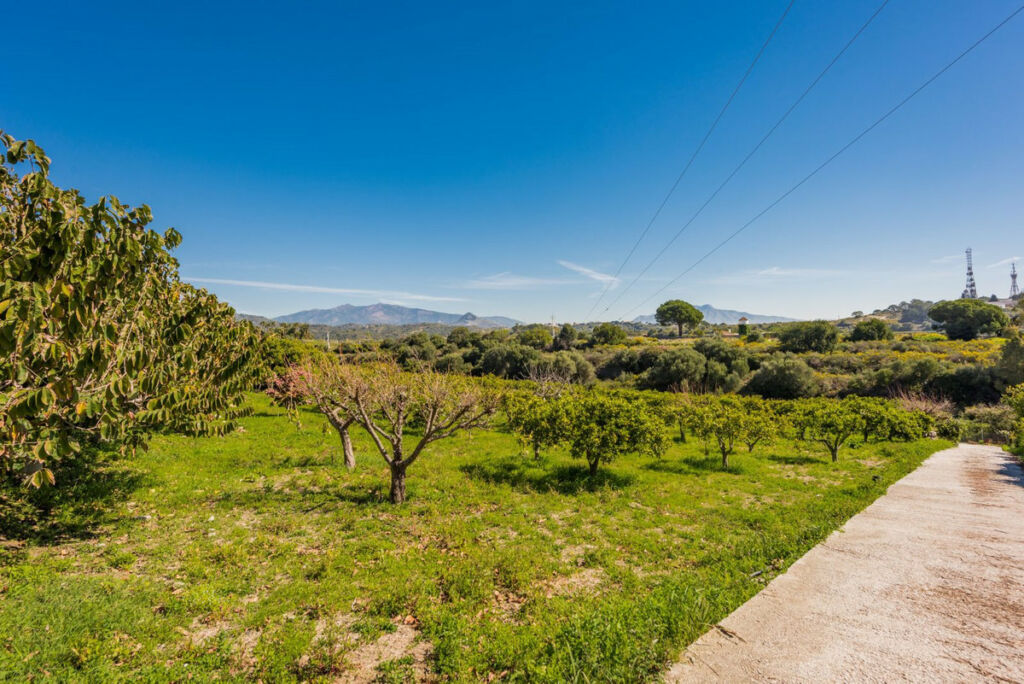 Detached Villa Estepona Málaga - image 13