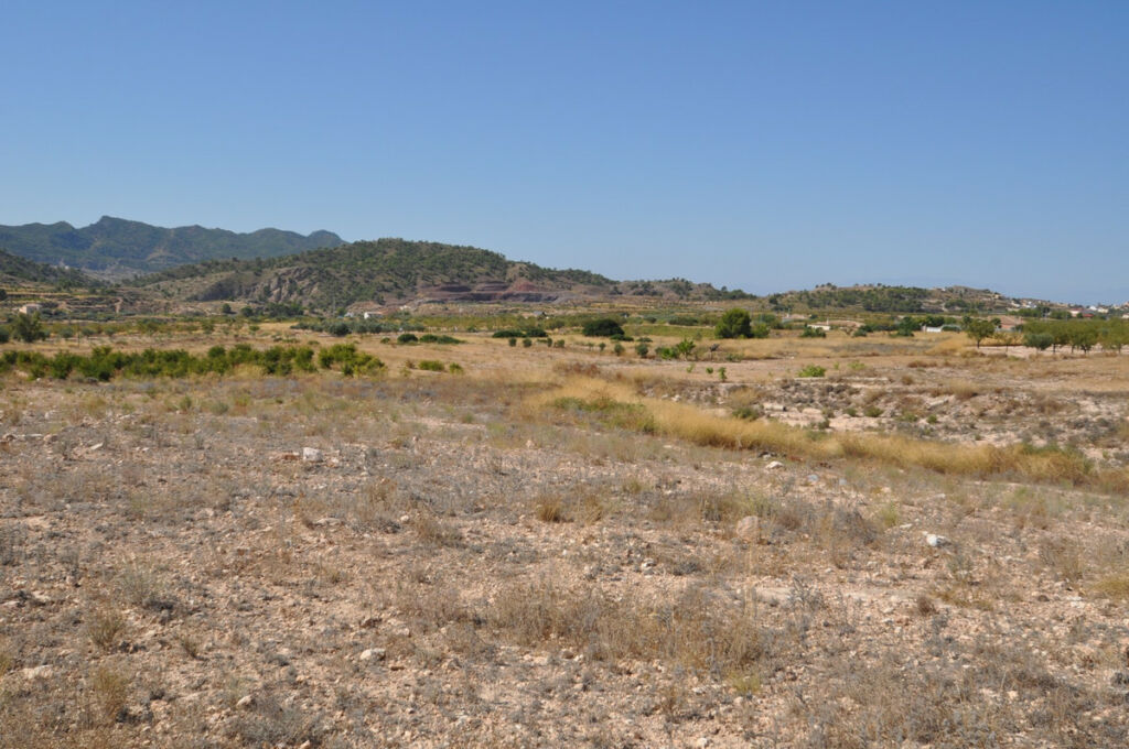 Land Macisvenda Murcia - image 13