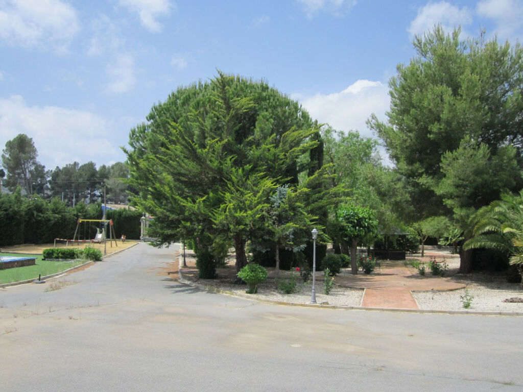 Detached Villa Yecla Murcia - image 13