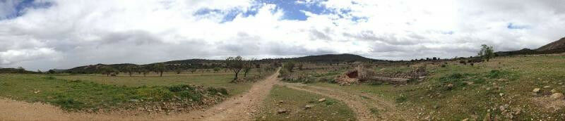 Land Yecla Murcia - image 13