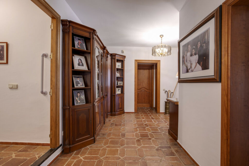 Detached Villa Guadalmina Alta Málaga - image 16