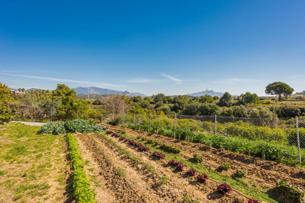 Detached Villa Estepona Málaga - image 14