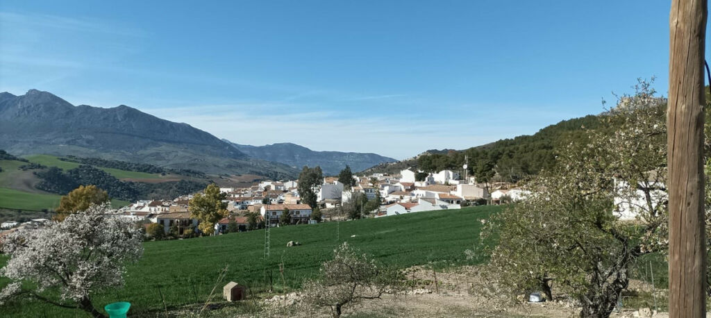 Detached Villa Ronda Málaga - image 14