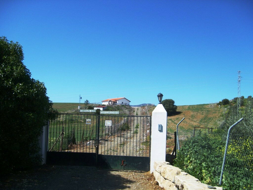 Finca - Cortijo Alora Málaga - image 14