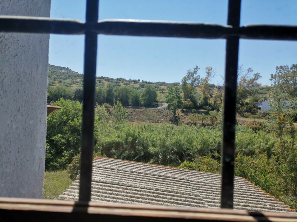 Finca - Cortijo Alcaucín Málaga - image 14