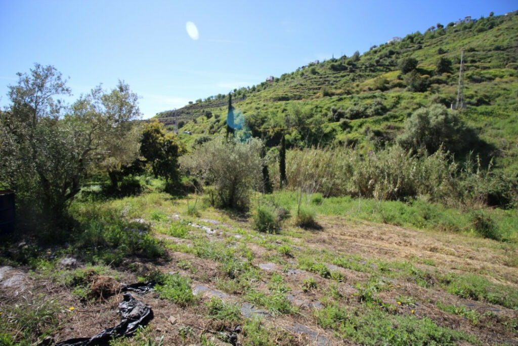 Land Torrox Málaga - image 14