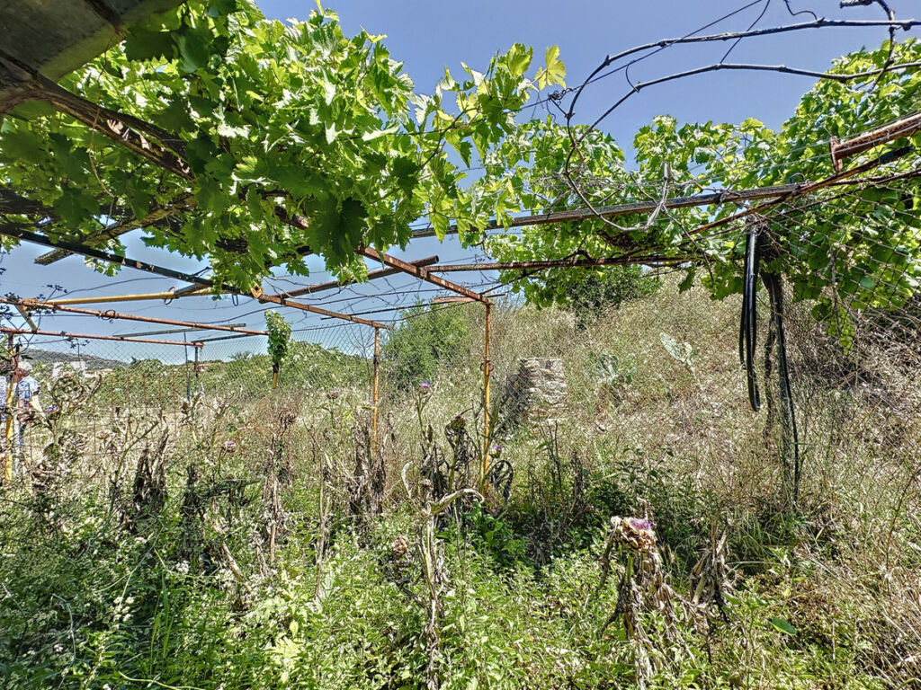 Farm Doña Julia Málaga - image 14