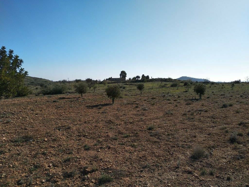 Residential Plot Relleu Alicante - image 14
