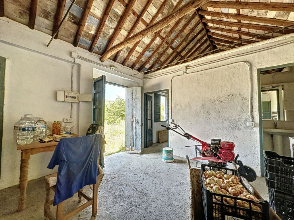 Farm Doña Julia Málaga - image 15