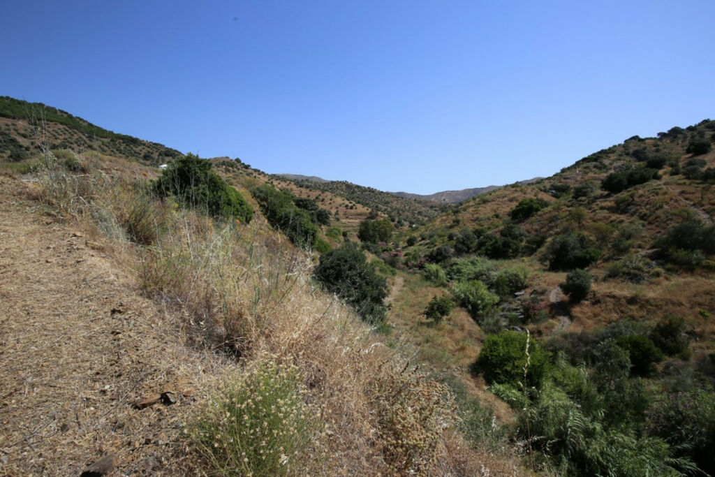 Land Totalán Málaga - image 15