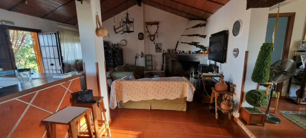 Finca - Cortijo Alhaurín de la Torre Málaga - image 15