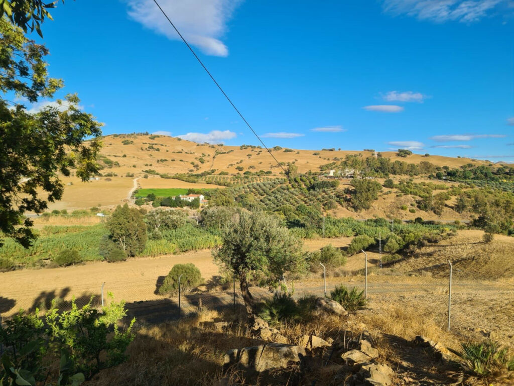 Finca - Cortijo Pizarra Málaga - image 15