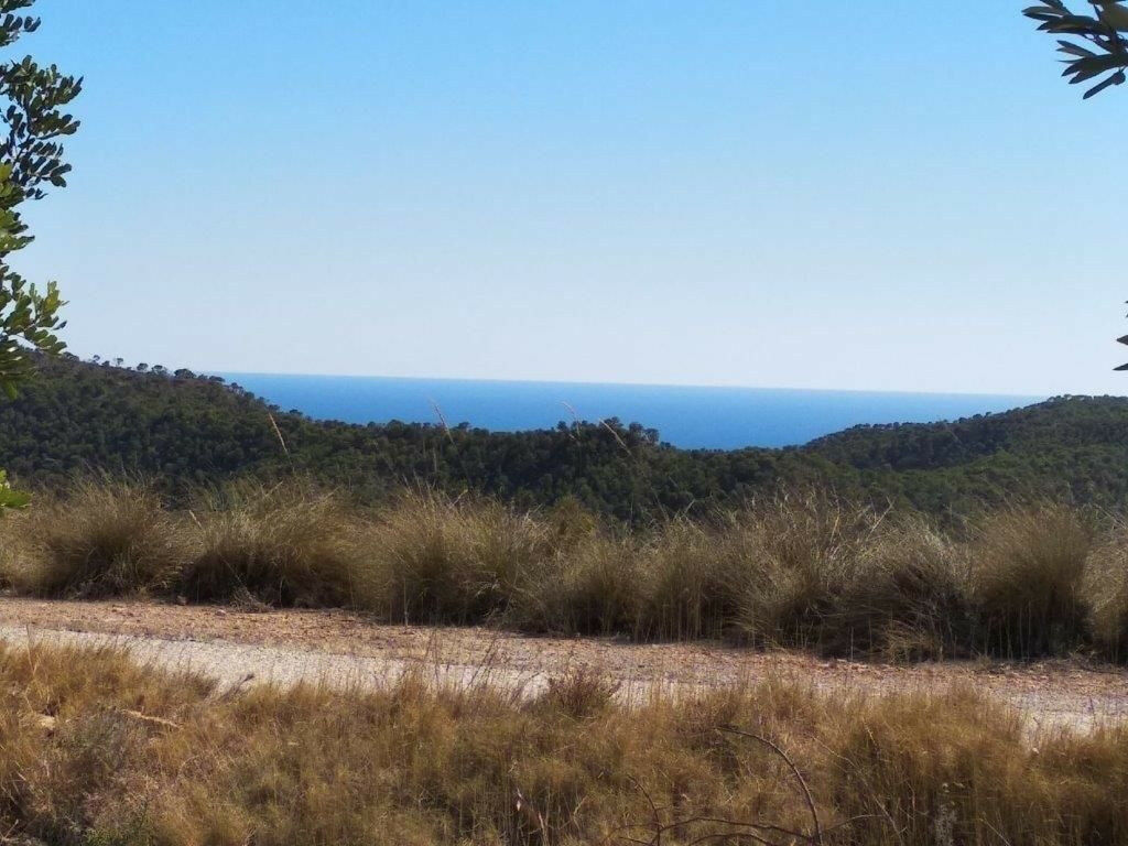Residential Plot Relleu Alicante - image 15