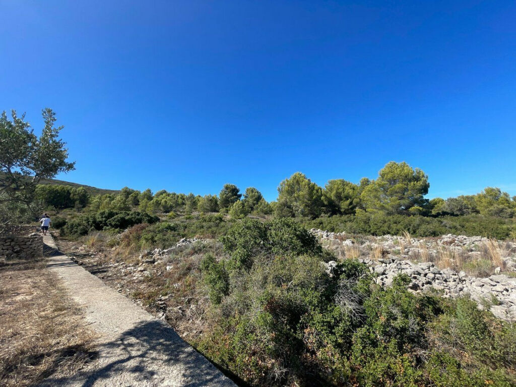Land Benissa Alicante - image 15