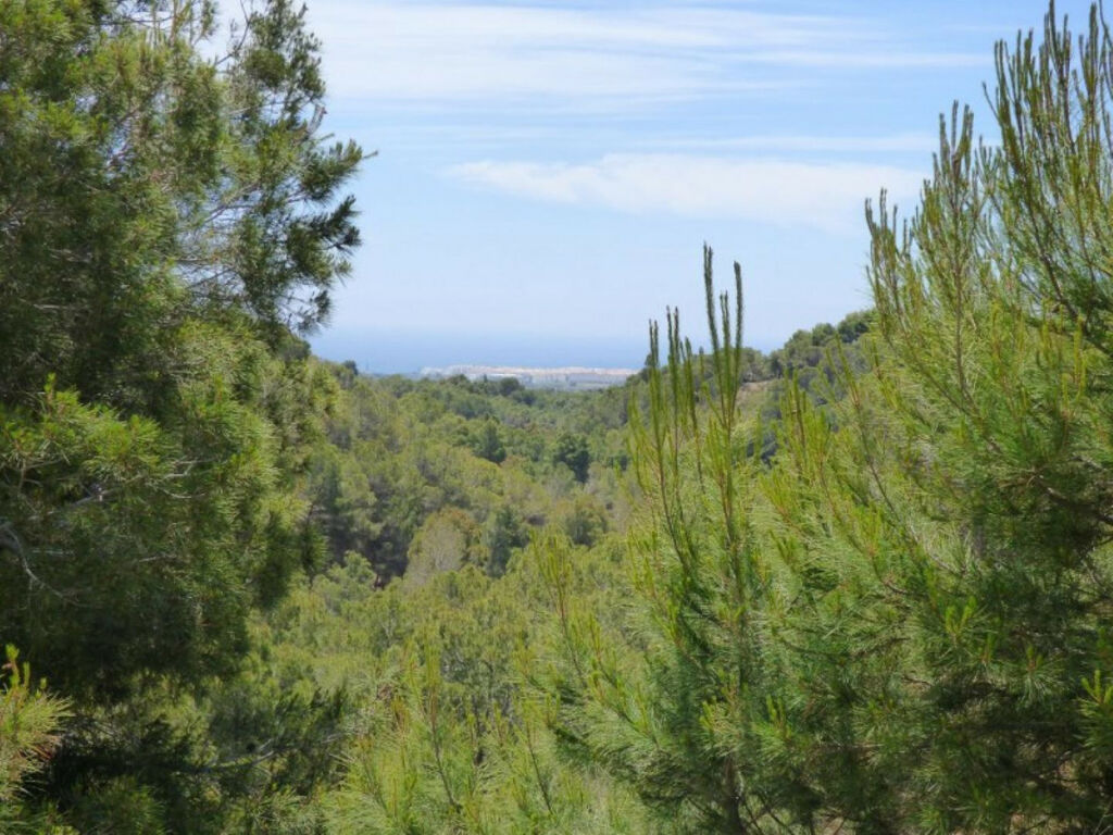 Land Altea Alicante - image 15