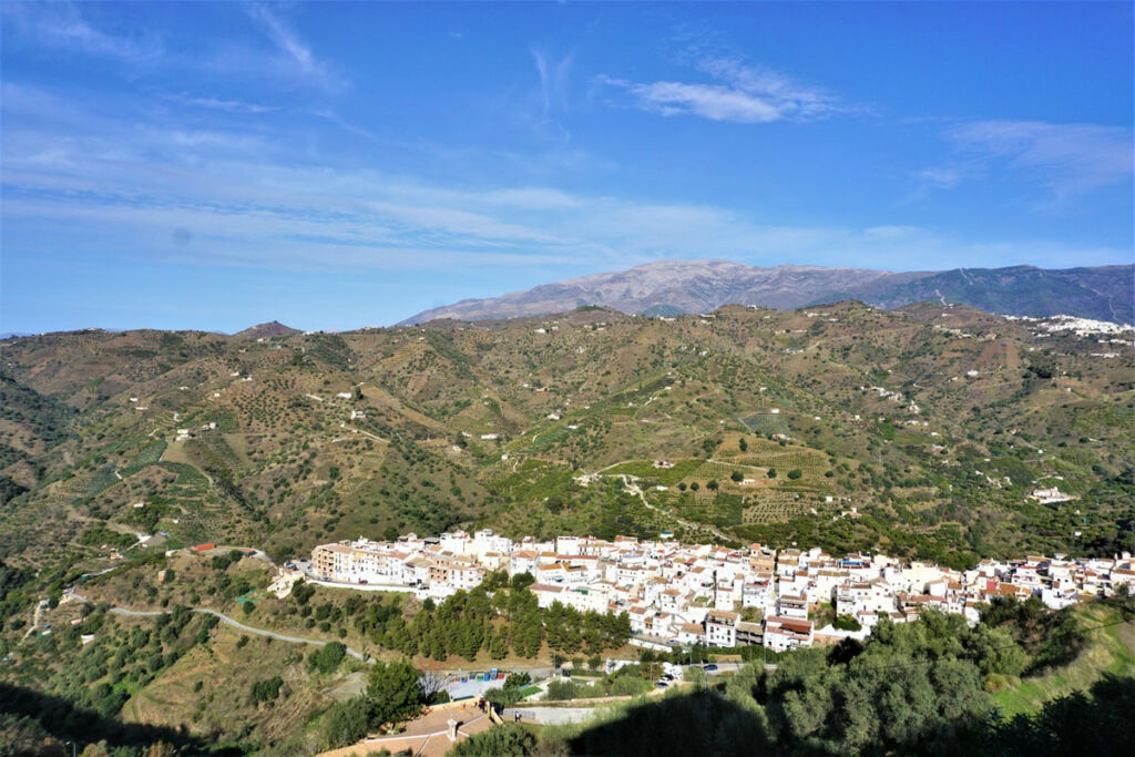 Detached Villa Sayalonga Málaga - image 15