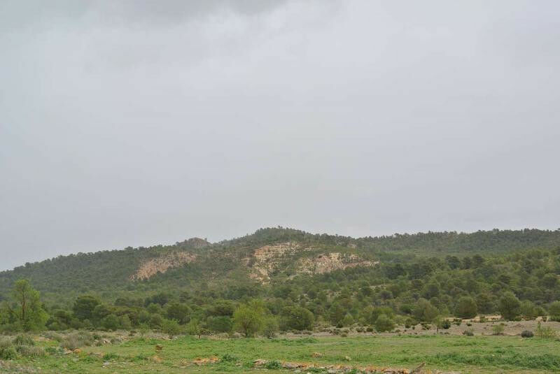 Land Yecla Murcia - image 16