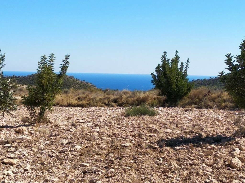 Residential Plot Relleu Alicante - image 16