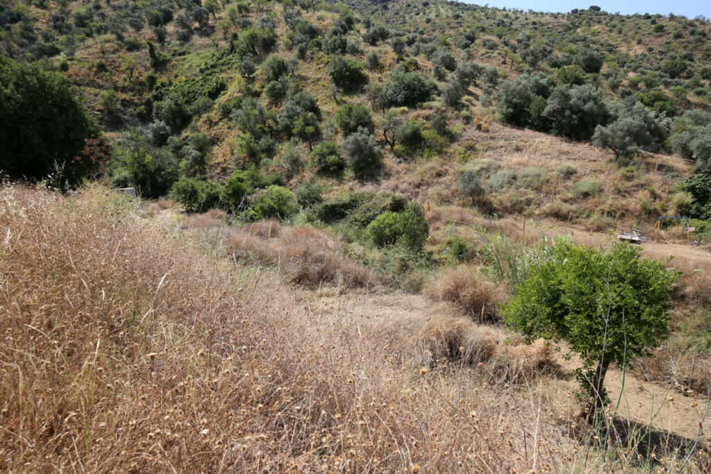 Land Totalán Málaga - image 16