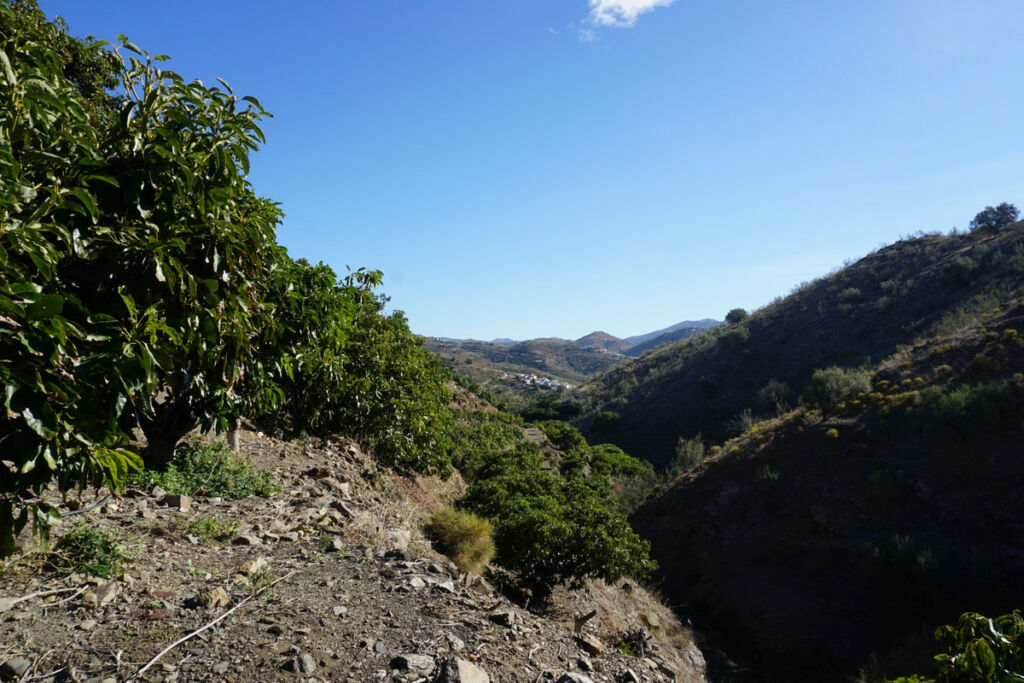 Finca - Cortijo La Viñuela Málaga - image 16