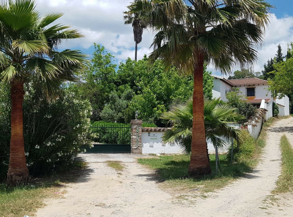 Detached Villa Jimena de la Frontera Cádiz - image 16