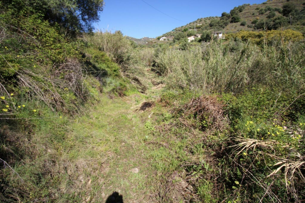 Land Torrox Málaga - image 16