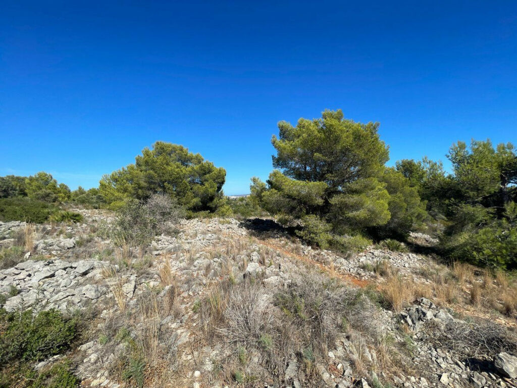 Land Benissa Alicante - image 16