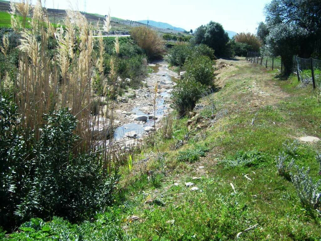 Finca - Cortijo Alora Málaga - image 16