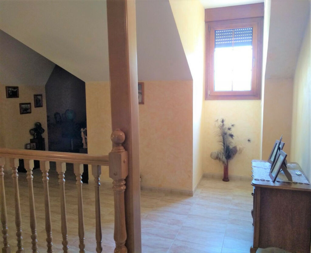 Detached Villa Aspe Alicante - image 16