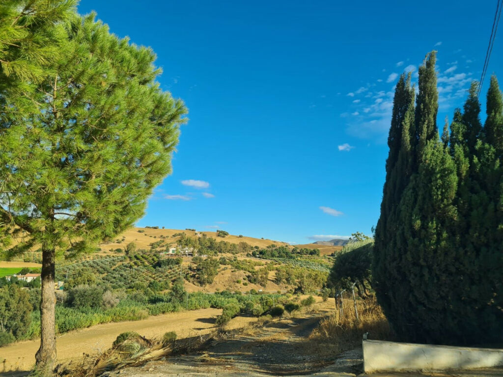 Finca - Cortijo Pizarra Málaga - image 17