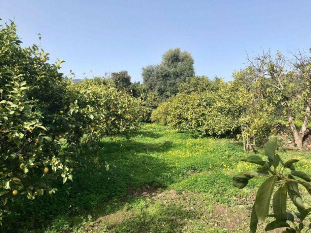 Finca - Cortijo Estepona Málaga - image 17