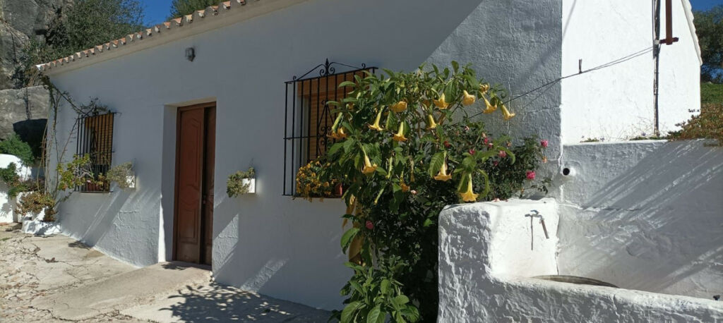 Detached Villa Ronda Málaga - image 17