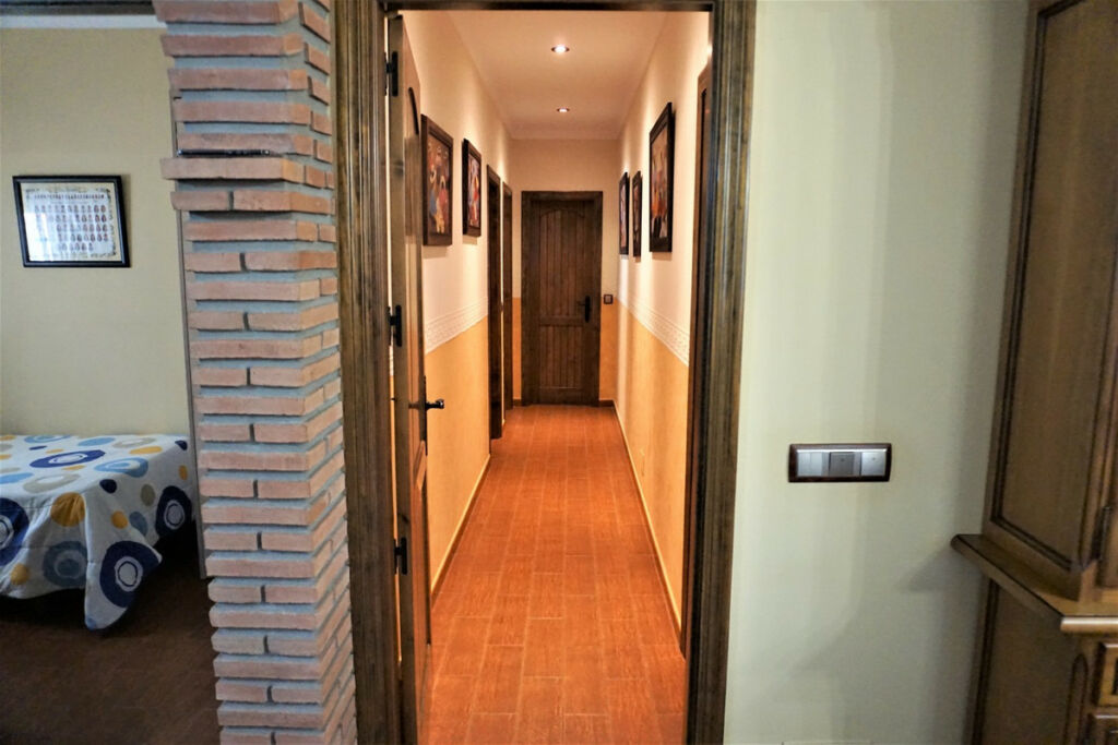 Detached Villa Sayalonga Málaga - image 17