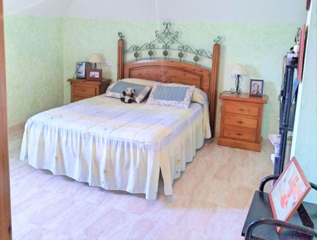 Detached Villa Aspe Alicante - image 17
