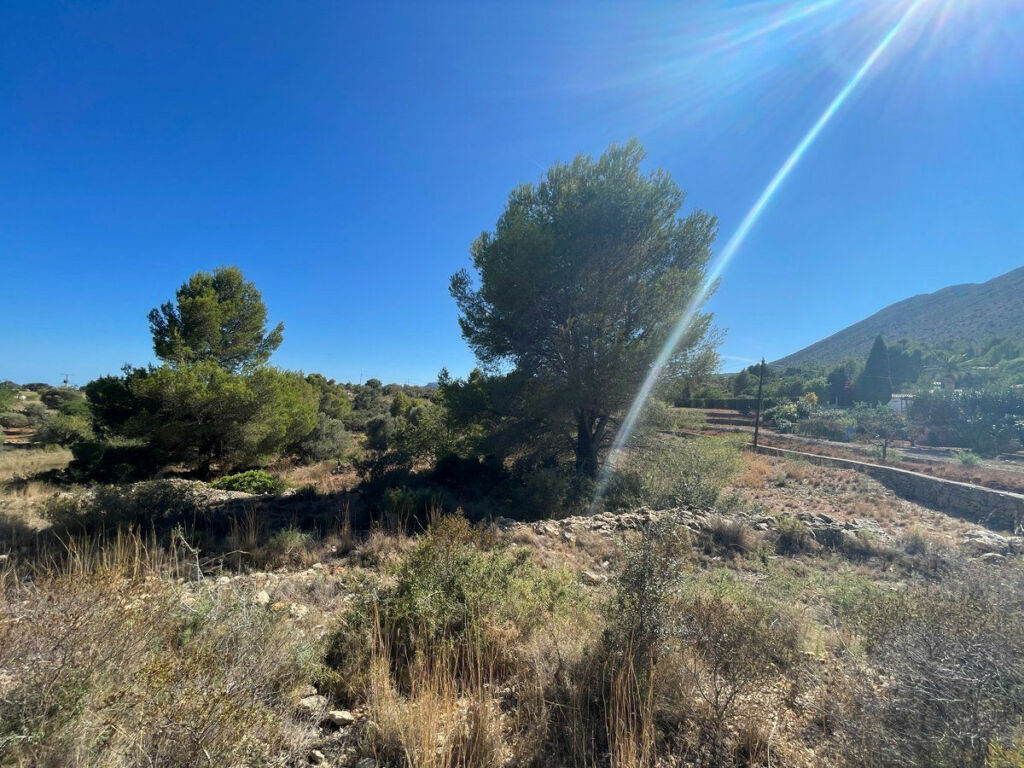 Land Benissa Alicante - image 17