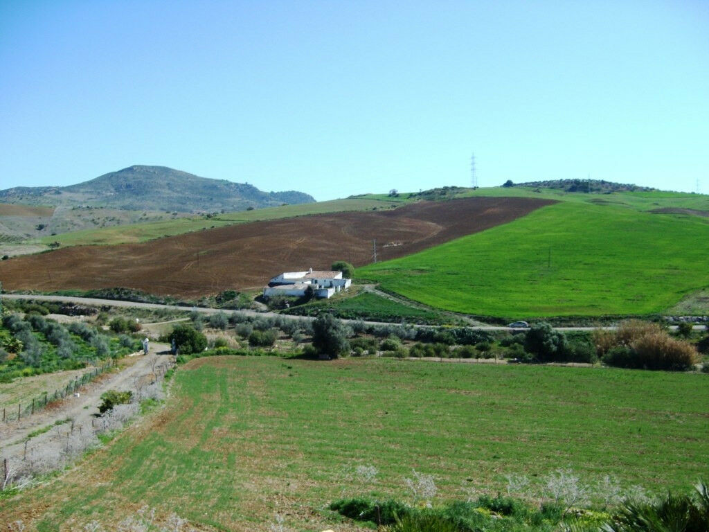 Finca - Cortijo Alora Málaga - image 17