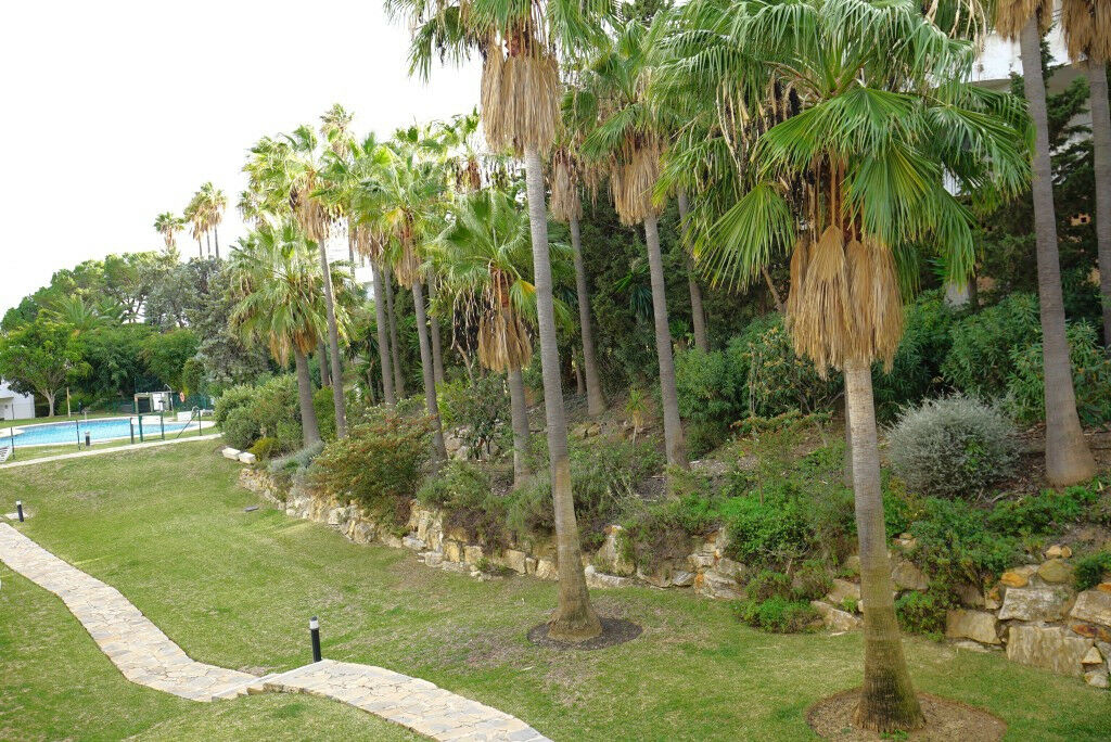 Middle Floor Apartment Estepona Málaga - image 17