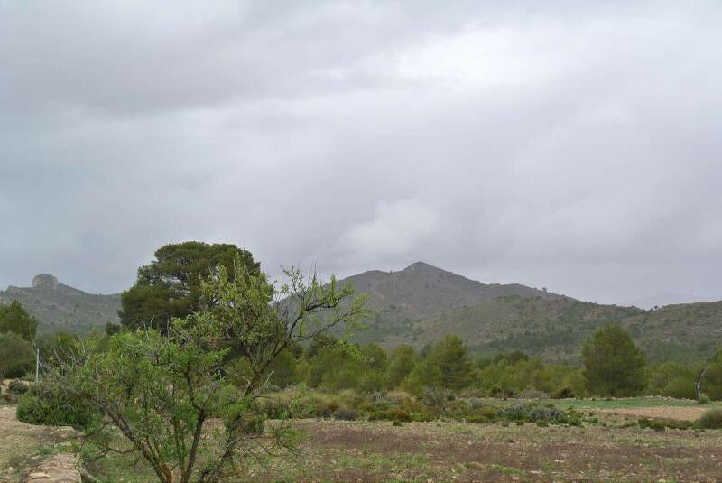 Land Yecla Murcia - image 17