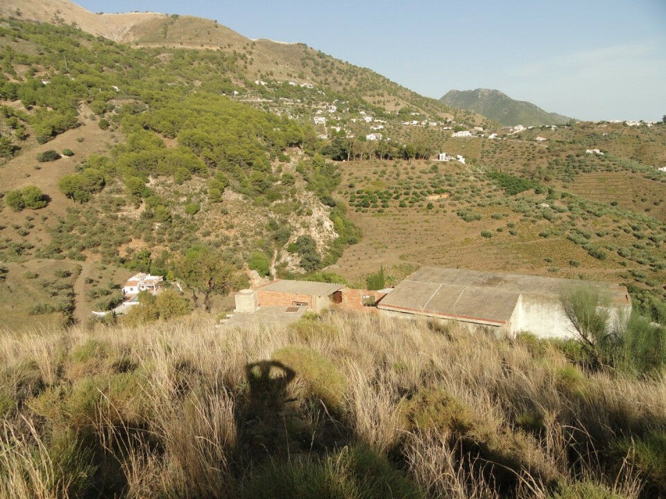 Land Cómpeta Málaga - image 17
