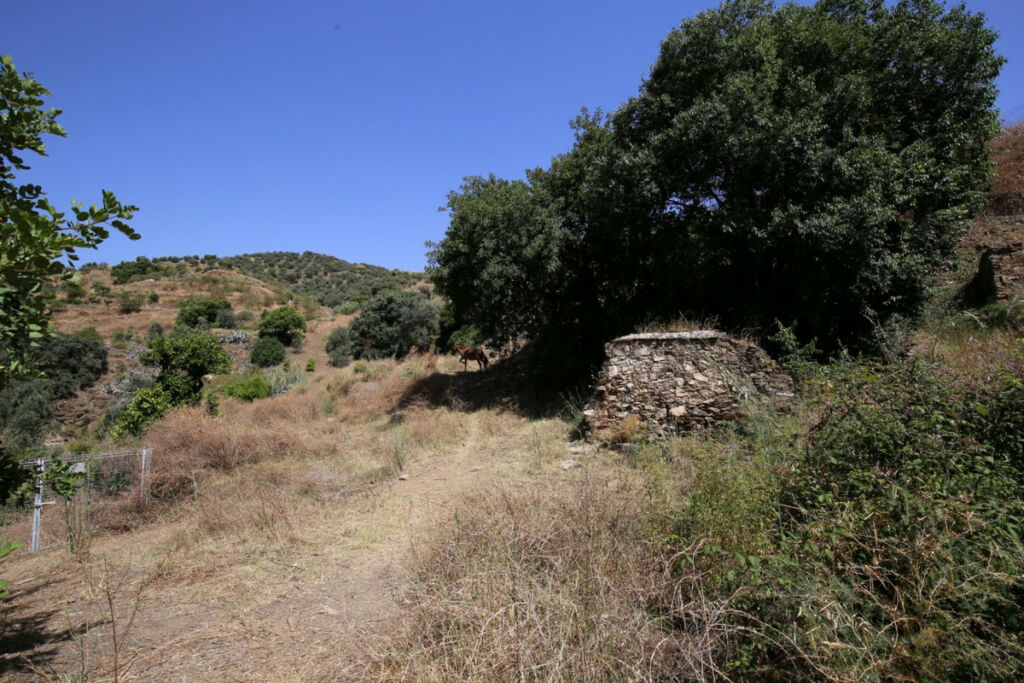 Land Totalán Málaga - image 18
