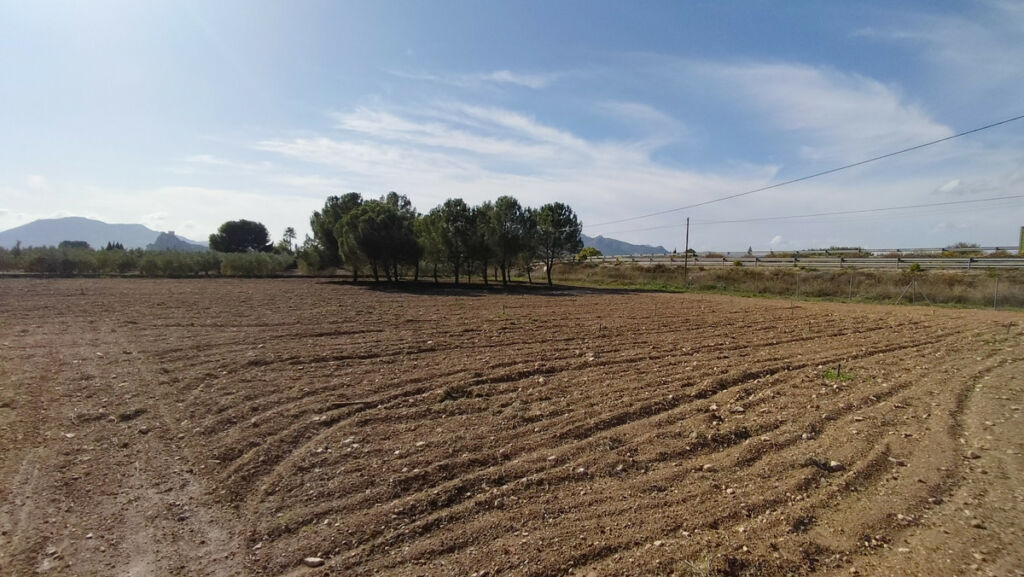 Detached Villa Sax Alicante - image 18