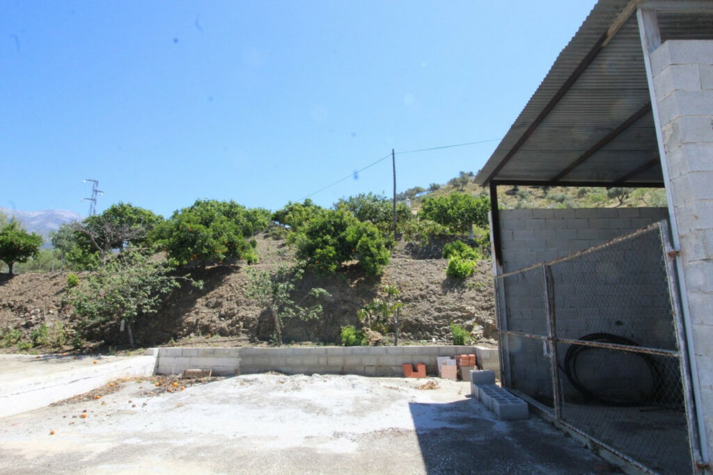 Finca - Cortijo Canillas de Aceituno Málaga - image 18