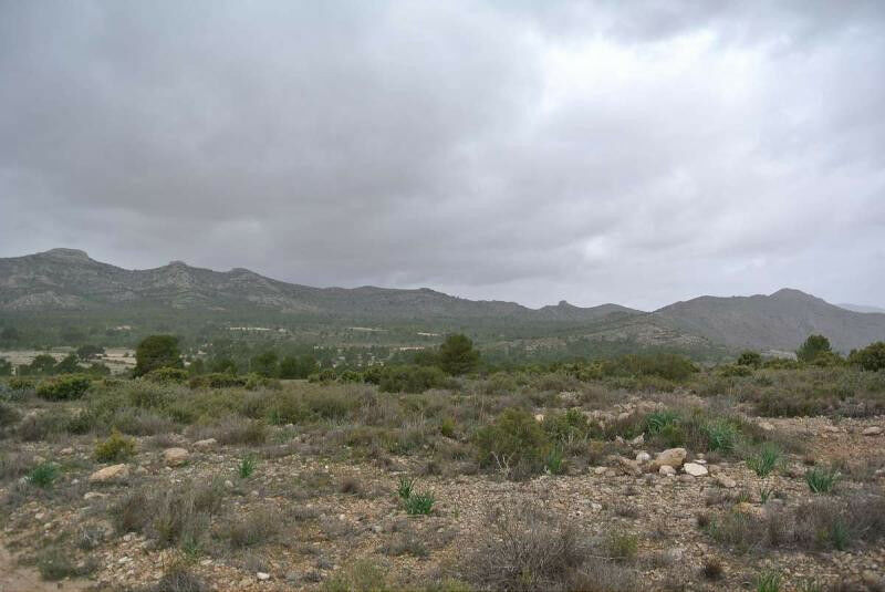 Land Yecla Murcia - image 18