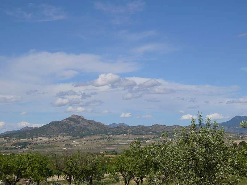 Finca - Cortijo Salinas Alicante - image 18