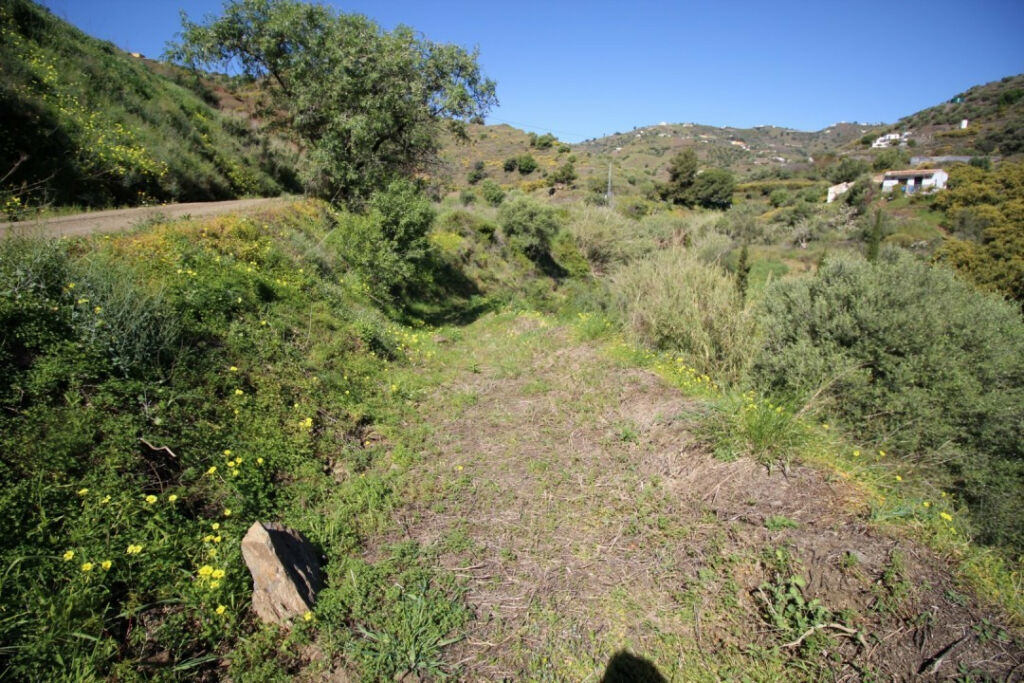 Land Torrox Málaga - image 17