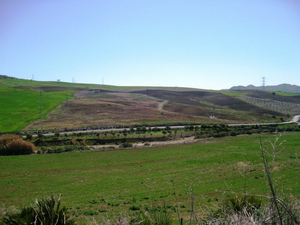 Finca - Cortijo Alora Málaga - image 18