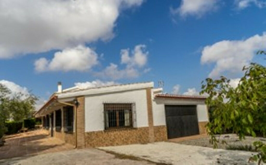 Finca - Cortijo Alora Málaga - image 18