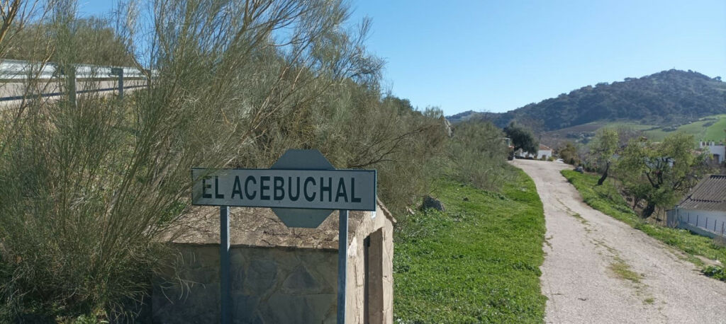 Detached Villa Ronda Málaga - image 18