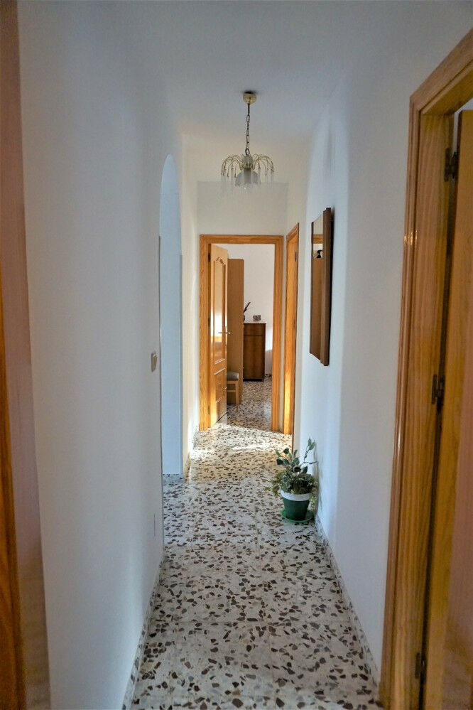 Finca - Cortijo Alcaucín Málaga - image 19